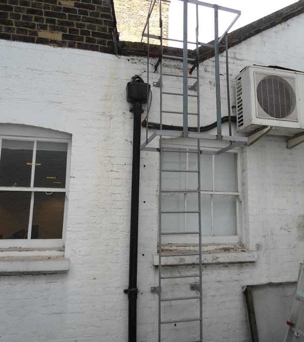 Cat Ladder Installation London